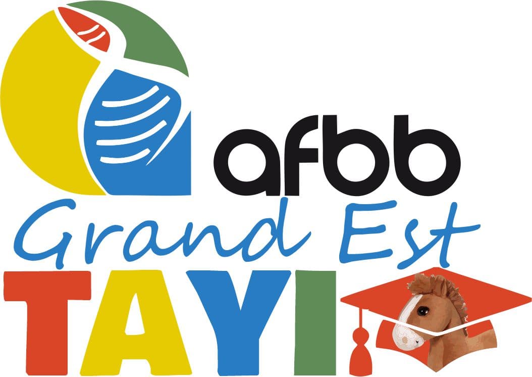 Tayi — AFBB Grand Est
