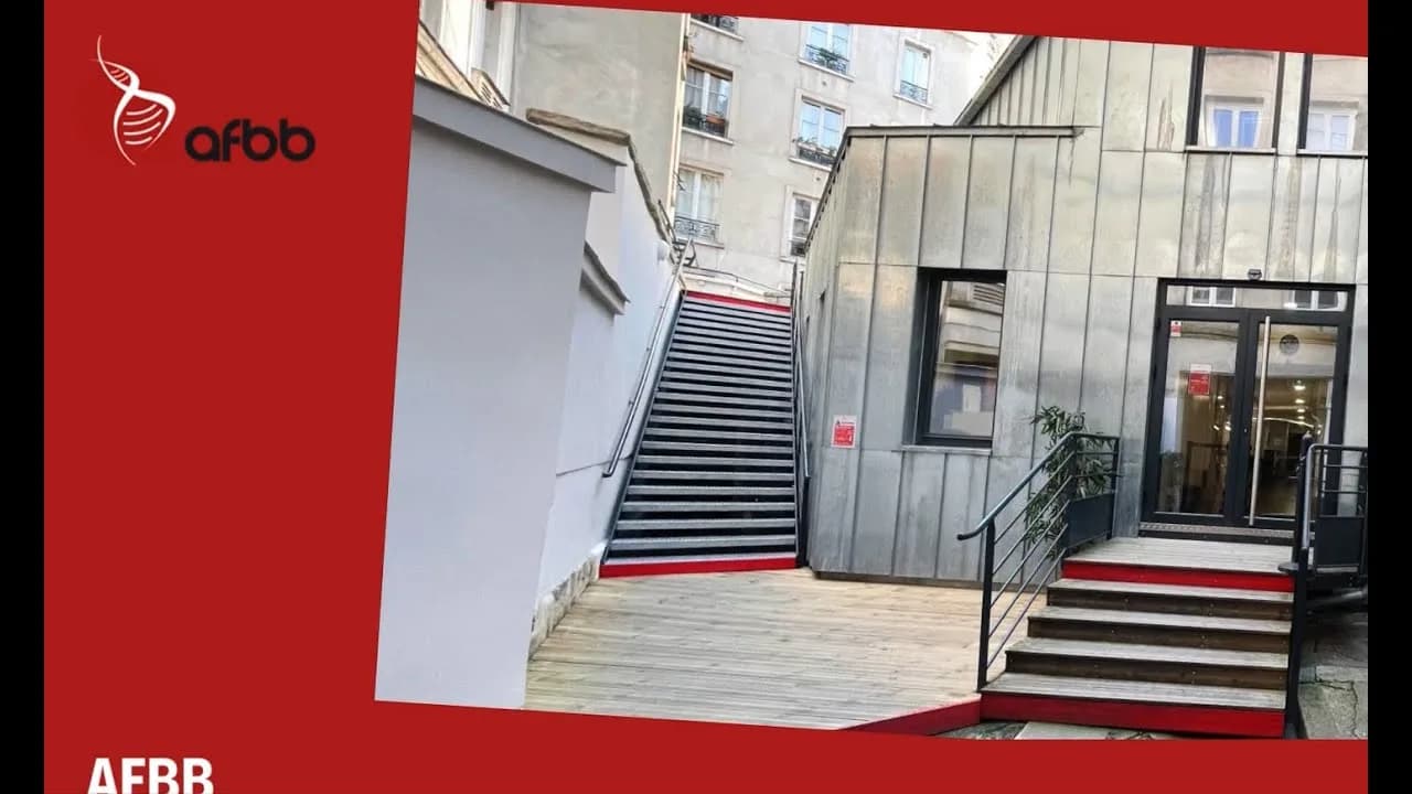 Cour intérieure de l'AFBB : un escalier mène à l'entrée vitrée du bâtiment.